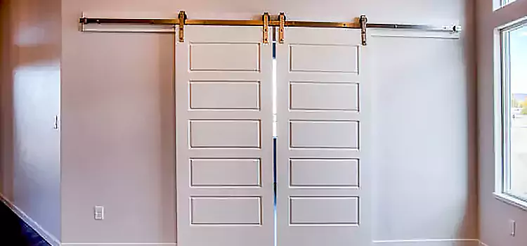 Glass Barn Door with Installation Hardware Kit Green Valley